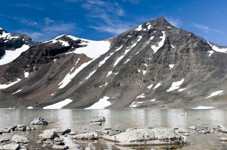 Media Image