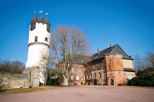 Media Image