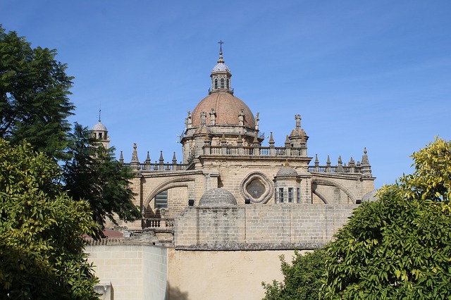 Media Image