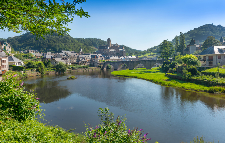 Media Image